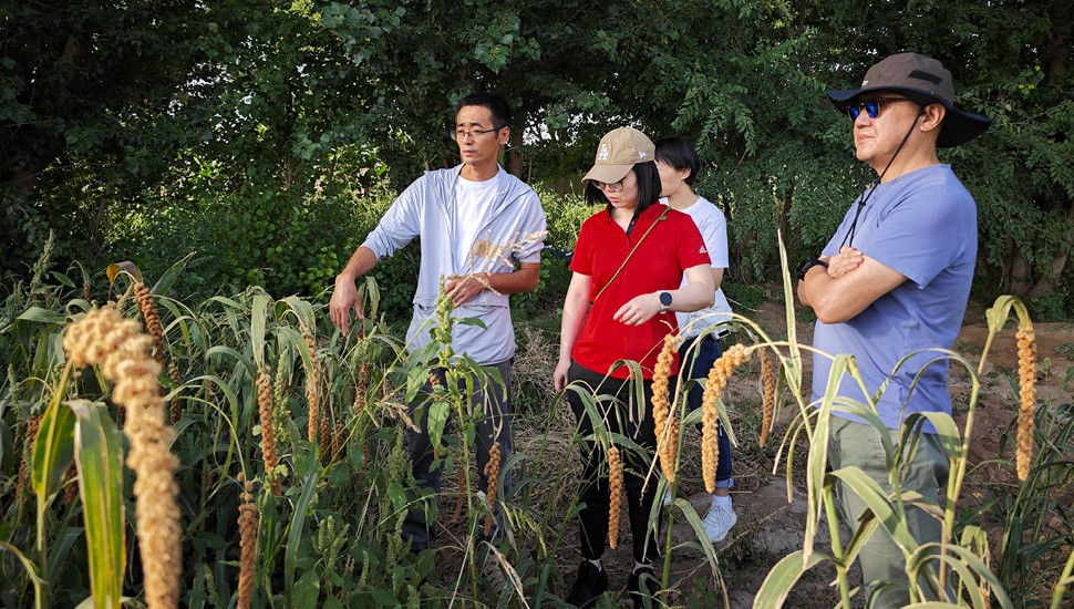 Empowering Social Entrepreneurship