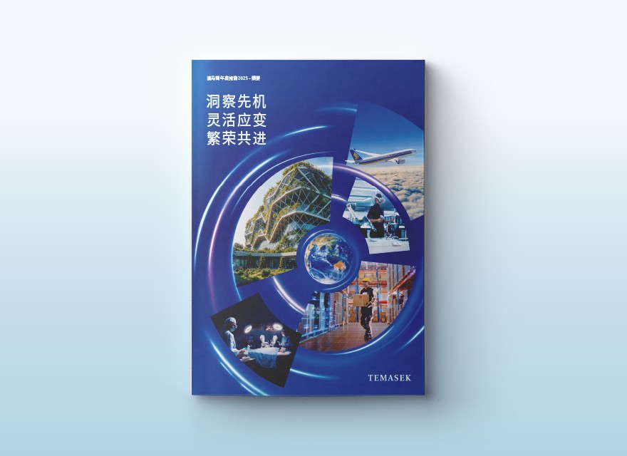 《淡马锡年度报告2025摘要》