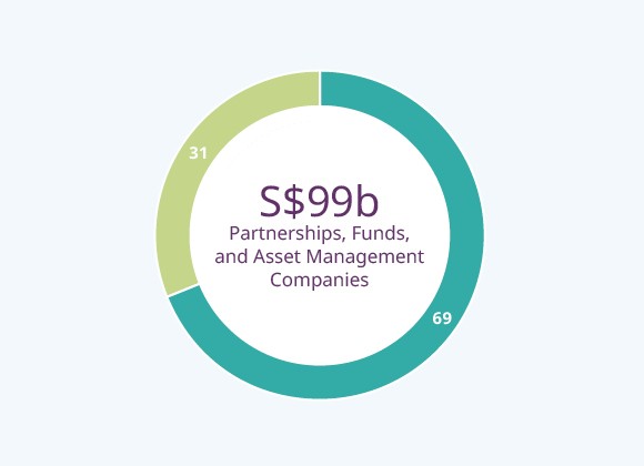 Partnerships, Funds, and Asset Management Companies (%)