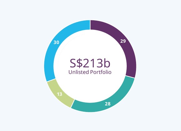 Unlisted Portfolio (%)